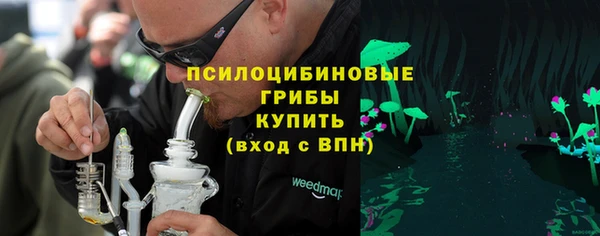мдпв Щёлкино