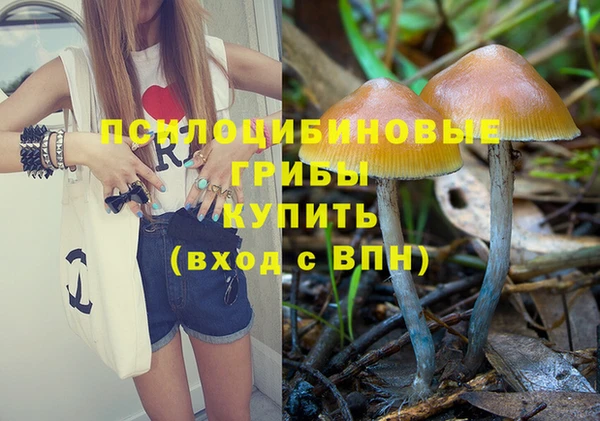 мяу мяу мука Переславль-Залесский