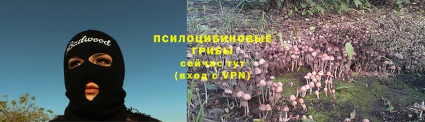 первитин Богданович