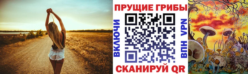 Псилоцибиновые грибы Magic Shrooms  Среднеуральск 